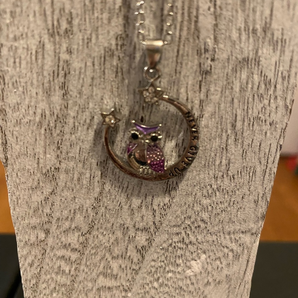 New! Never Give Up Owl Necklace